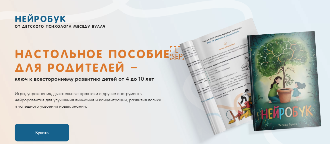 [Меседу Булач] Нейробук (2024)_0.png